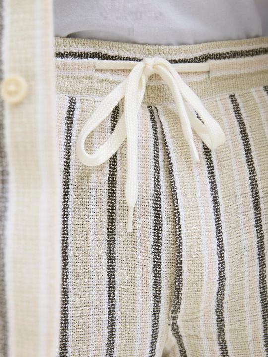 Actual product image Jack & Jones Jpstjaiden Coba Stripe Jog Short Sn Pls (42)