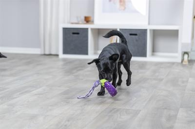 Actual product image Trixie Hondenspeelgoed Aubergine Aan Koord Tpr