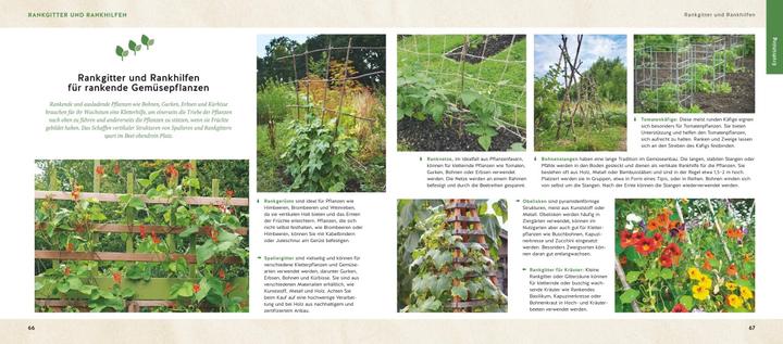 Produktbild Quickfinder Hochbeet und Gemüsegarten (Deutsch, Birgit Brüggemann-Niemann, Daniela Haferkorn, Natalie Kirchbaumer, Wanda Ganders, 2024)