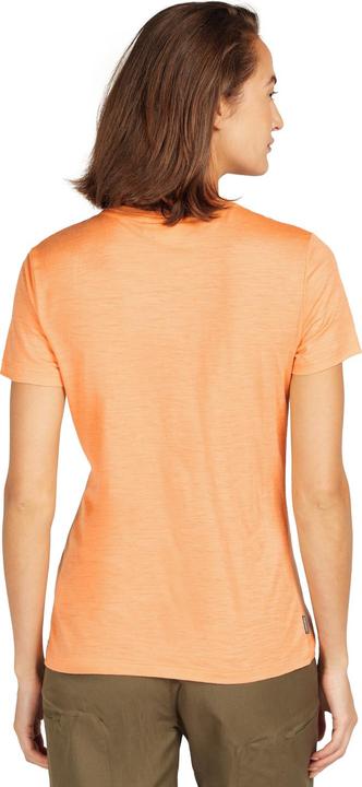 Image du produit Icebreaker 150 Tech Lite Hiver Floral (M)