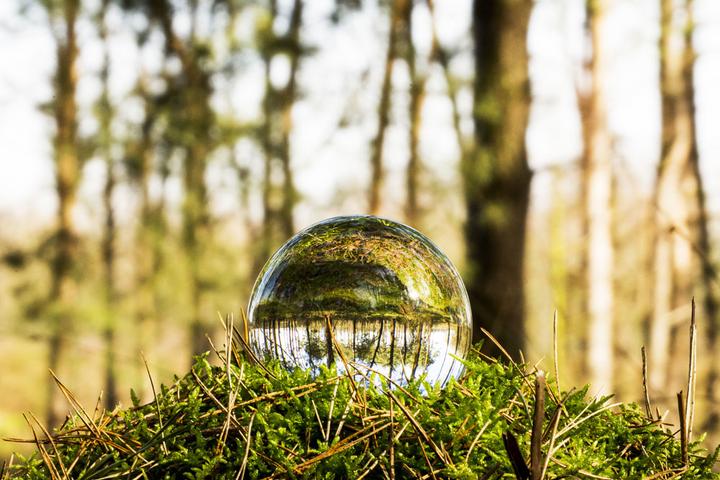 Productafbeelding Caruba Lenskogel 100mm Deluxe