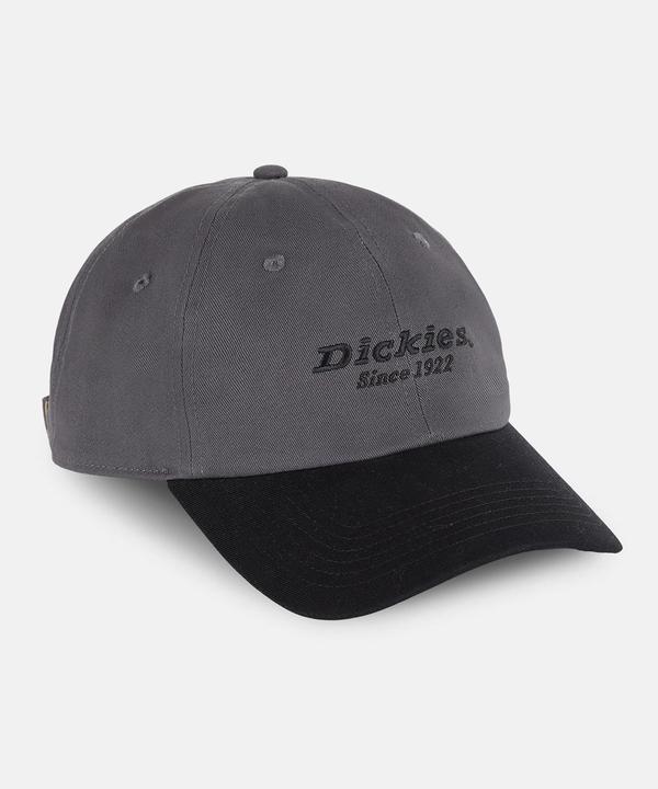 Produktbild Dickies Twill Dad Hat