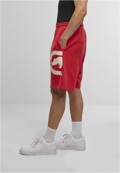 Image du produit Ecko Unltd. Shorts Buzzer ski patrol L (L)