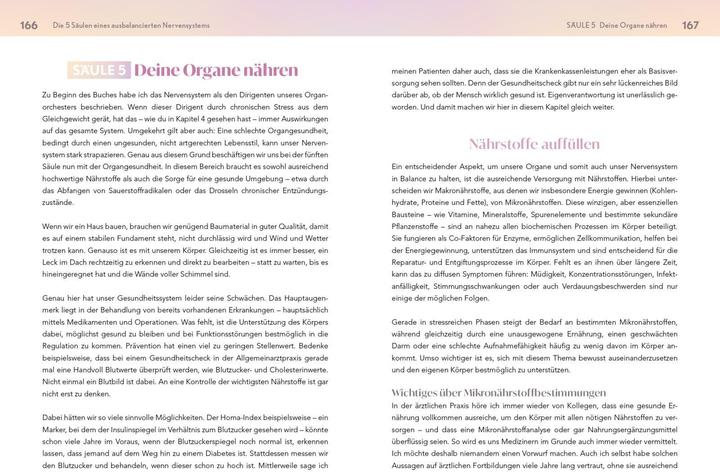 Actual product image Neustart fürs Nervensystem (German, Jessica Klebe, 2025)