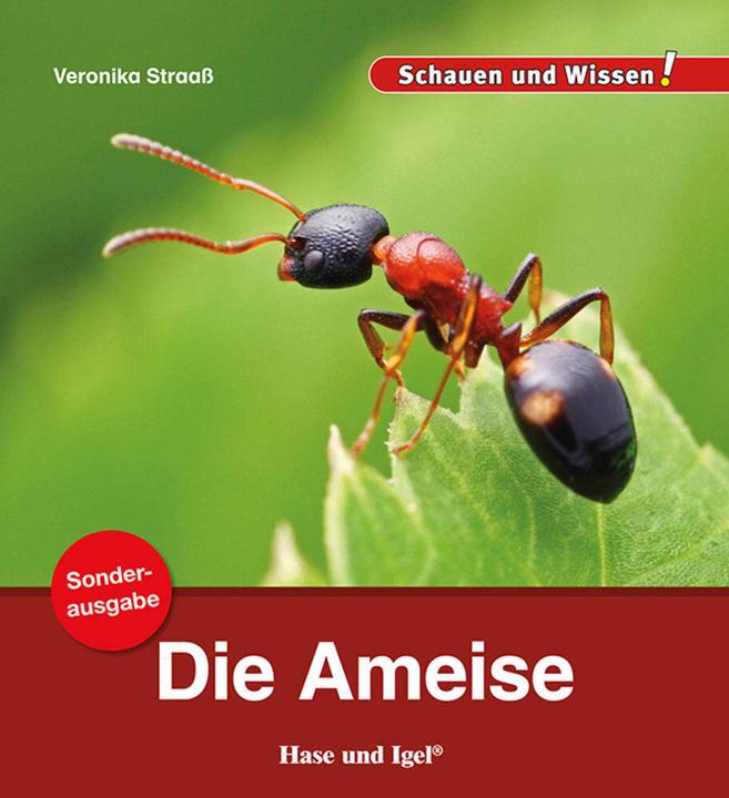 Produktbild Die Ameise / Sonderausgabe (Deutsch, Veronika Straaß, 2022)