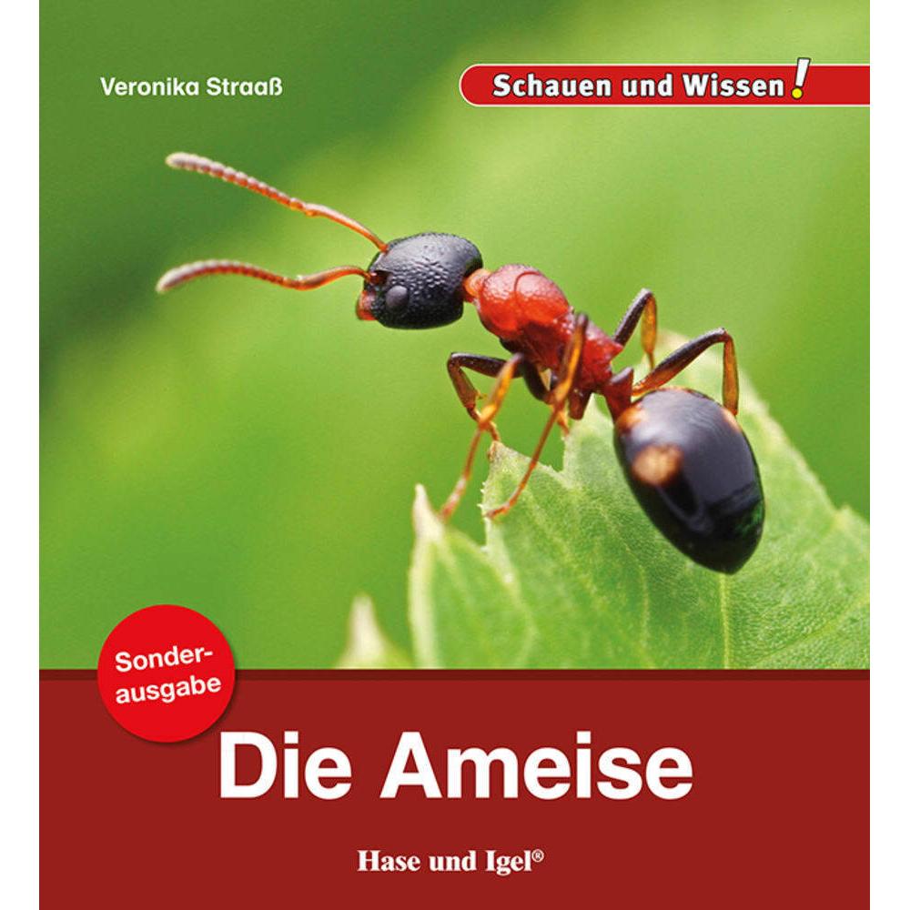 Die Ameise / Sonderausgabe, Schulbücher von Veronika Straass