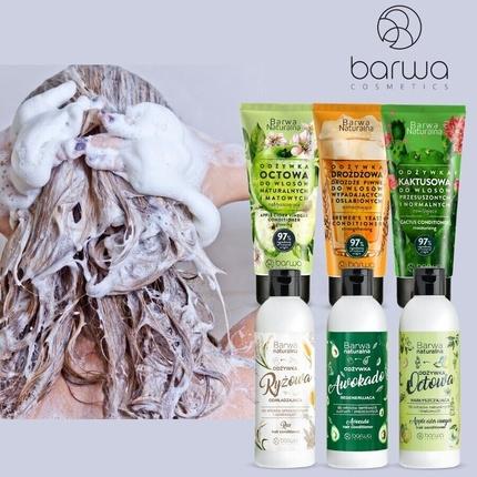 Barwa, Shampoo, Hair Shampoo & Conditioner Deep Cleansing Moisturizing PEH Natural Vegan (480 ml)