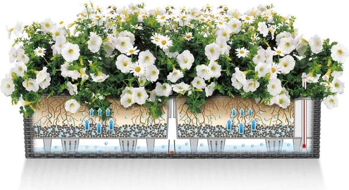 Actual product image Lechuza Balconera Cottage (19 cm)