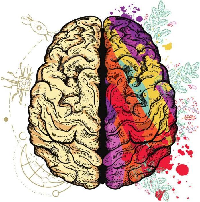 Produktbild Bügelbilder Schul & Freizeitsrucksack-Set Brain (15 l)