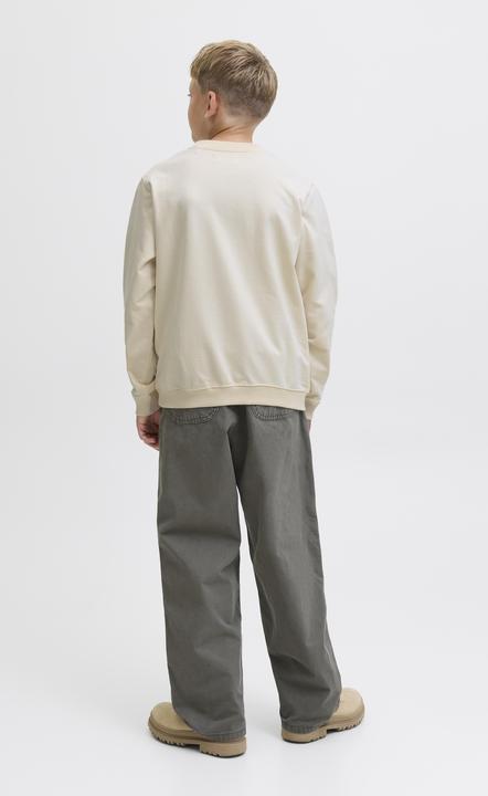 Actual product image Jack & Jones Junior Pullover MEADOWS Sweatshirt (164)