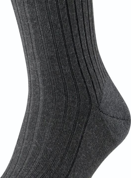 Produktbild Falke Bristol Pure KH (39 - 40)