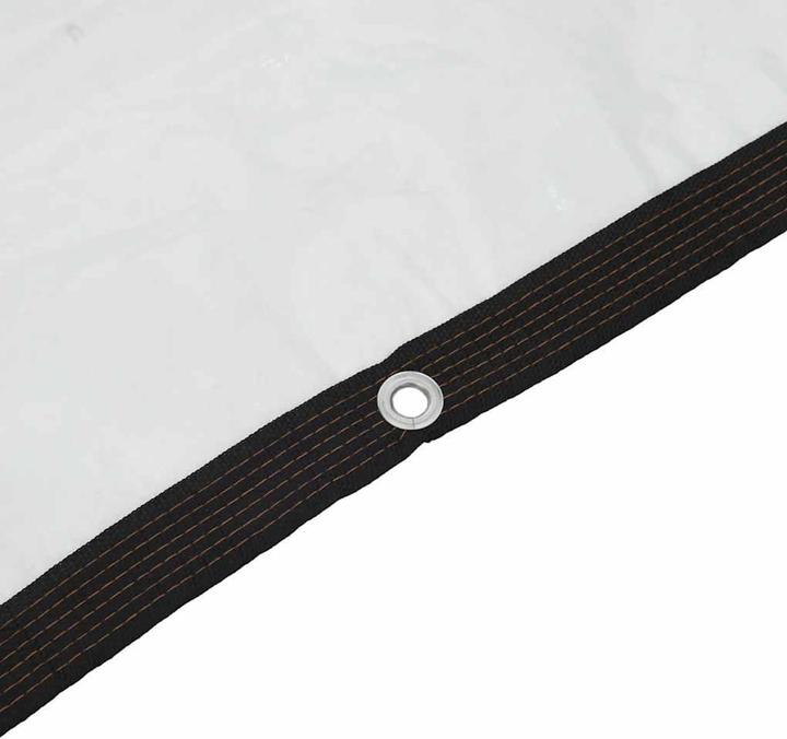 Immagine prodotto vidaXL Telone trasparente con occhielli 2x5 m telone trasparente in polietilene (5 x 2 m)