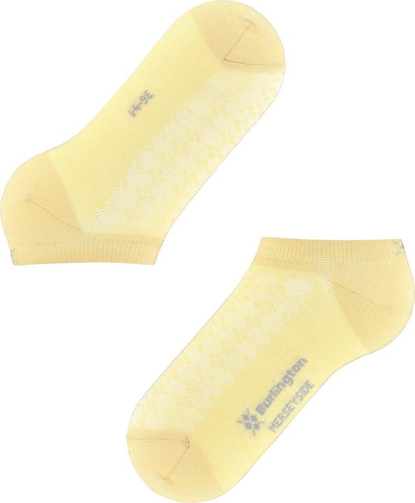 Image du produit Burlington Merseyside (Une unité par pack, 36 - 41)