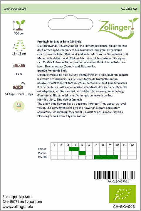 Produktbild Zollinger Bio Prunkwinde, Blauer Samt (einjährig) (Pflanzensamen)
