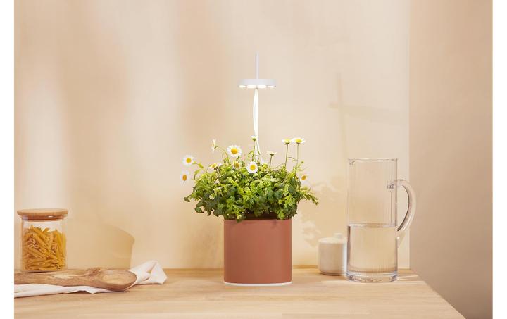 Produktbild Prêt à Pousser Kräutertopf Nano, Terracota (13.50 cm)