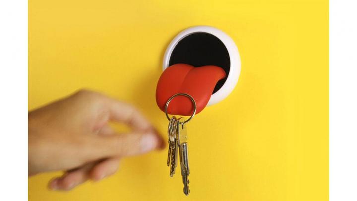 Actual product image TOP key holder