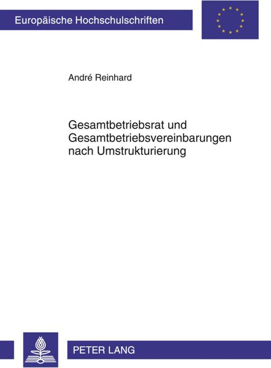 Energie-Label Gesamtbetriebsrat und Gesamtbetriebsvereinbarungen nach Umstrukturierung (Deutsch, André Reinhard, 2010)