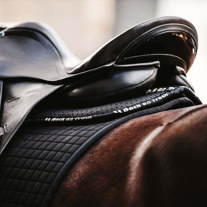 Produktbild Back on Track Aurora