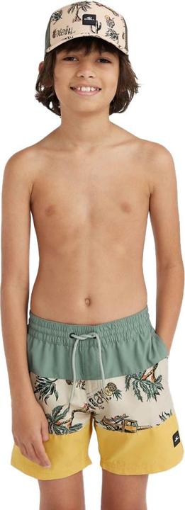 Actual product image O'Neill MIX & MATCH CALI BLOCK 13" SWIM SHORTS (140)
