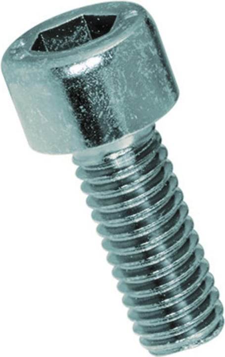 Image du produit Werkstarck Vis à métaux tête cylindrique (100 Vis par pièce)