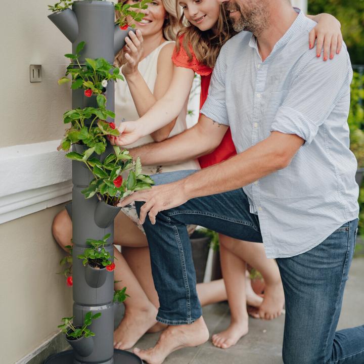 Actual product image Gusta Garden Sissi Strawberry (27 x 27 x 113 cm)