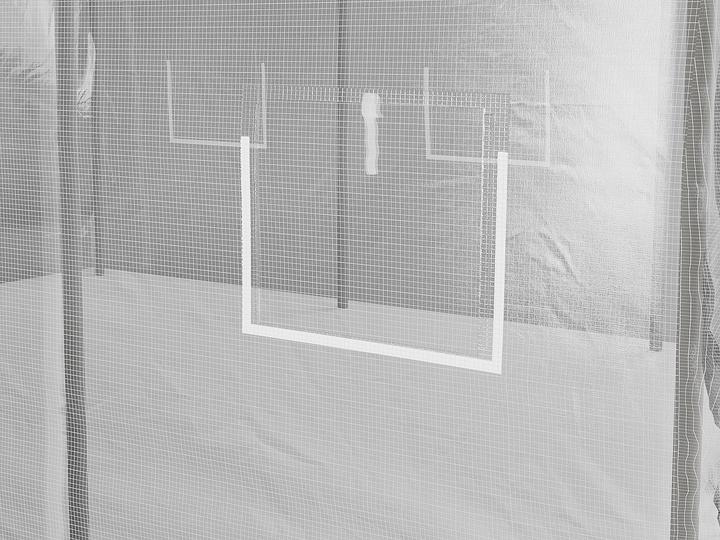 Immagine prodotto Vente-unique Alocasia