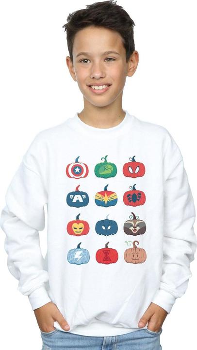 Produktbild Avengers Pumpkin Icons Sweatshirt Jungen (104)