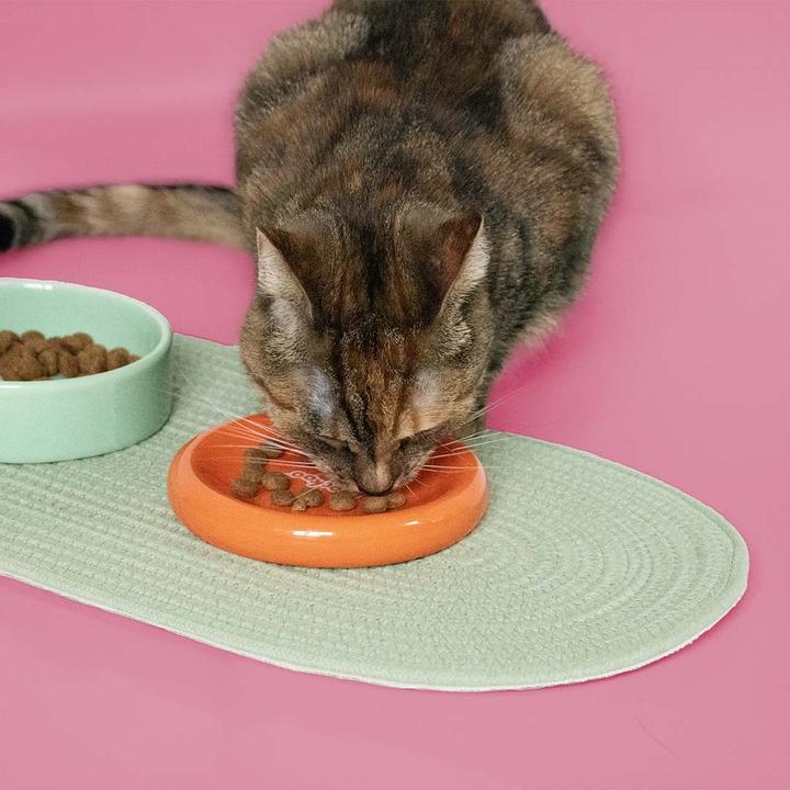 Image du produit Coockoo Gamelle FUNKY FEEDING (28 cl)