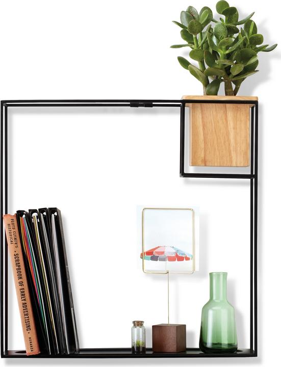 Actual product image Umbra Cubist