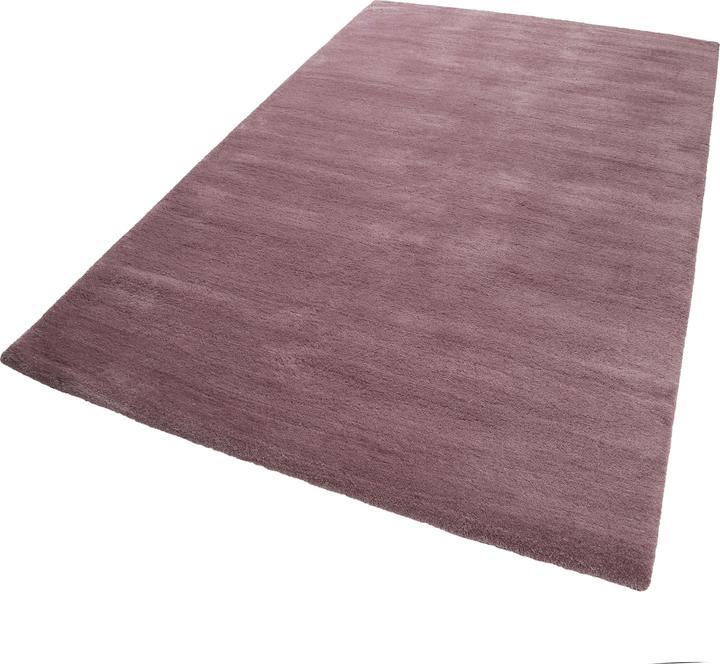 violet lilas