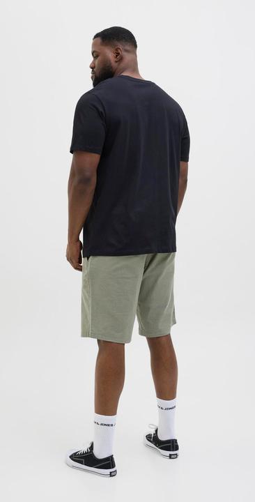 Actual product image Jack & Jones Plus Size Regular Fit Chino Shorts Chino Shorts (48)