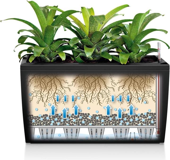 Image du produit Lechuza Cararo (75 x 30 x 43 cm)