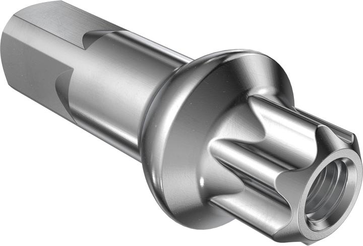DT Swiss Squorx Nippel Messing PL, 100Stk