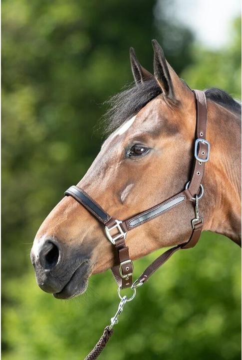 Produktbild HFI Master First