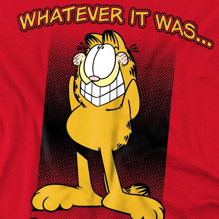 Actual product image Garfield Mens I Didn't Do It T-Shirt (L)