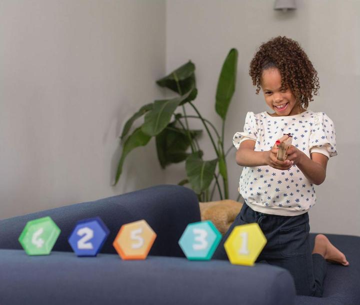 Actual product image BS Target shooting