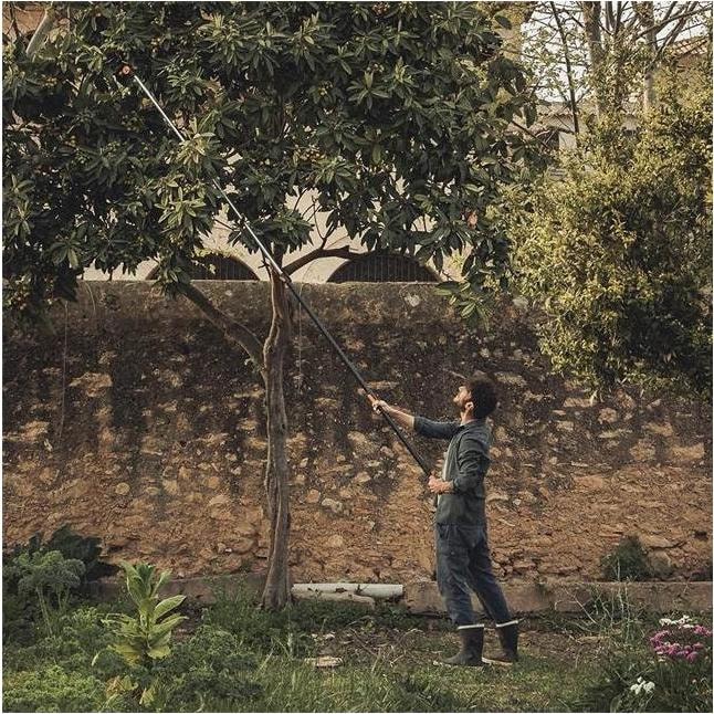 Image du produit Fiskars Girafe de coupe télescopique UPX86