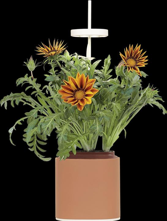 Produktbild Prêt à Pousser Kräutertopf Nano, Terracota (13.50 cm)