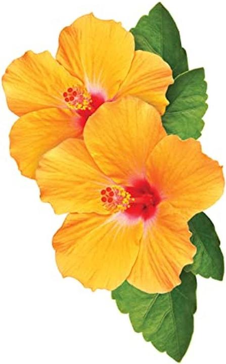 Produktbild Farouk Systems Chi curlycare - curl shampoo 355ml (355 ml, Flüssiges Shampoo)