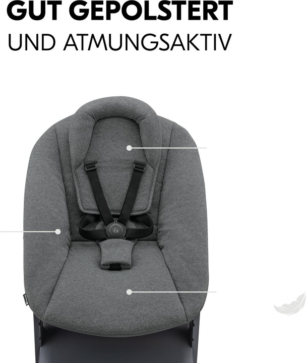 Produktbild Hauck Alpha Newborn Set Plus Dark Grey (Hochstuhl)