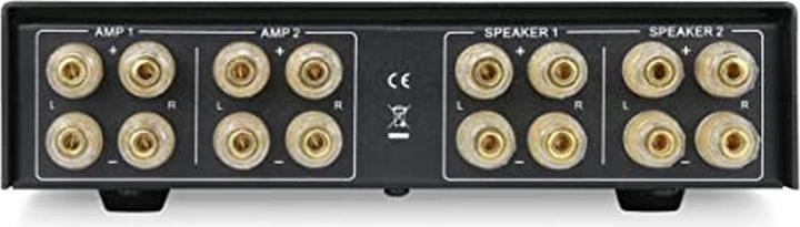 Actual product image Dynavox Amplifier boxesSwitch AMPS PRO silver (Audio Switch)