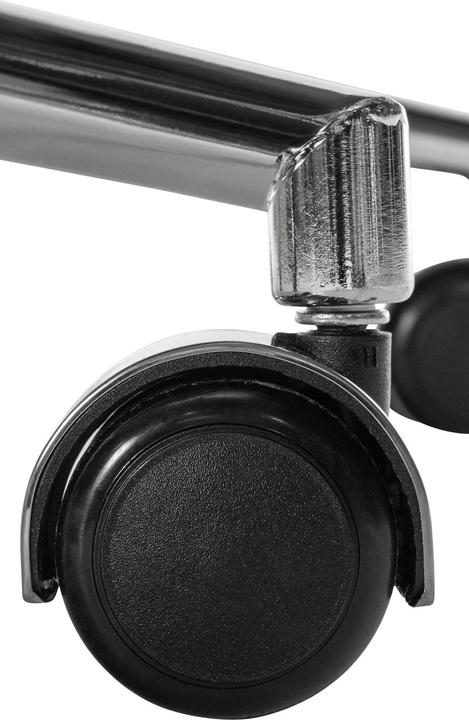 Actual product image CLP Mollis