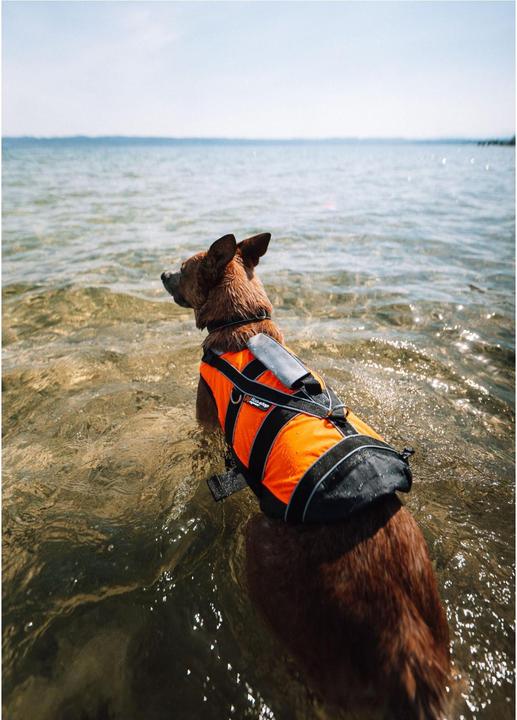 Immagine prodotto Non-Stop Dogwear Giubbotto di salvataggio Safe Gilet da nuoto M (4, Giubbotto di salvataggio per cani)