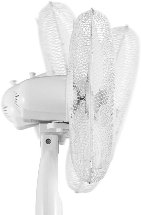 Actual product image Trotec Standventilator TVE 16