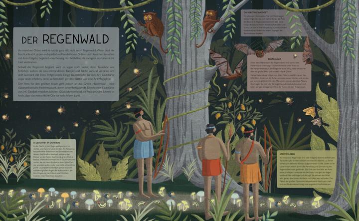 Immagine prodotto Die Nacht ist voller Wunder (Tedesco, Nicola Edwards, 2019)