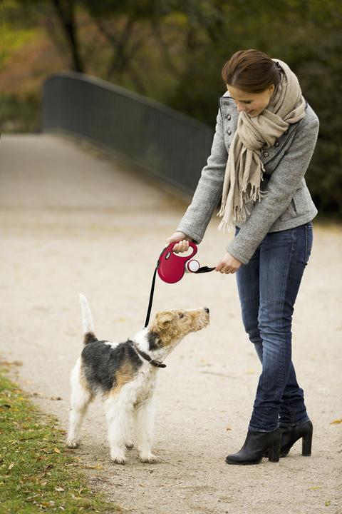 Immagine prodotto Flexi Nuova cintura classica (S, Cane, Passeggiare)