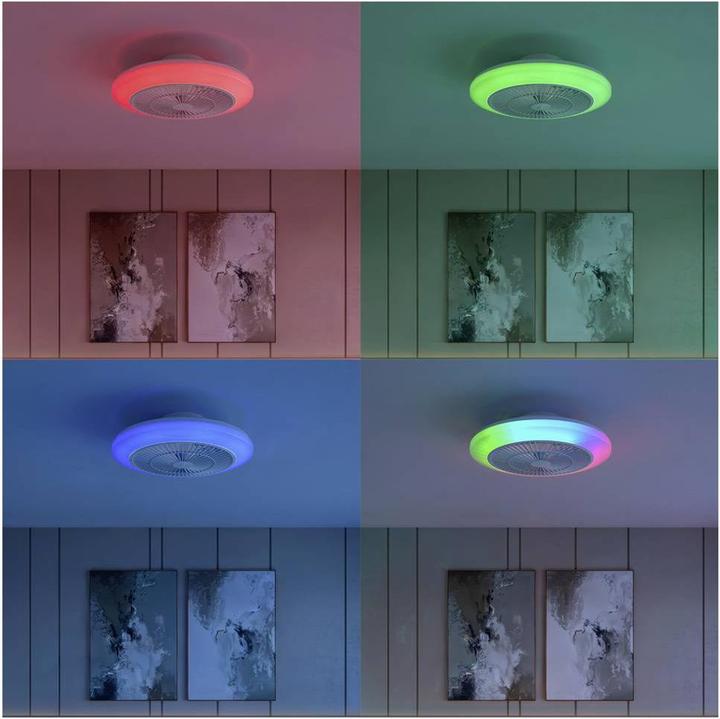 Image du produit Philips Ventilateur de Plafond Amigo