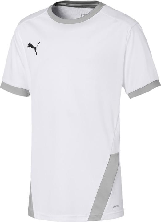 Actual product image Puma teamGOAL 23 Jersey jr-704160 (128)