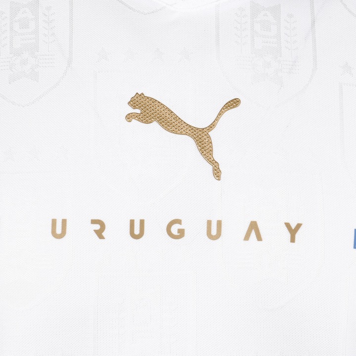 Produktbild Puma Uruguay Trikot Away Copa América 2021 Herren (L)
