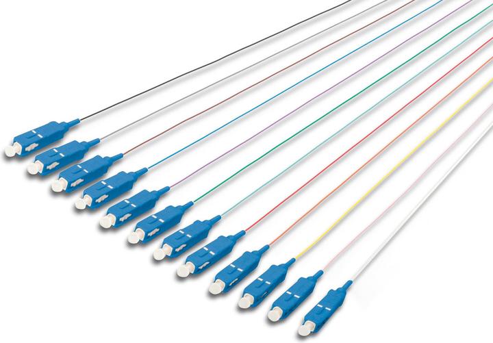 Digitus SC Fiber Pigtail Loose Buffer 09/125 m 12 Pcs. Farben code DIN IEC 304 Singlemode OS2 Länge 2m (2 m)